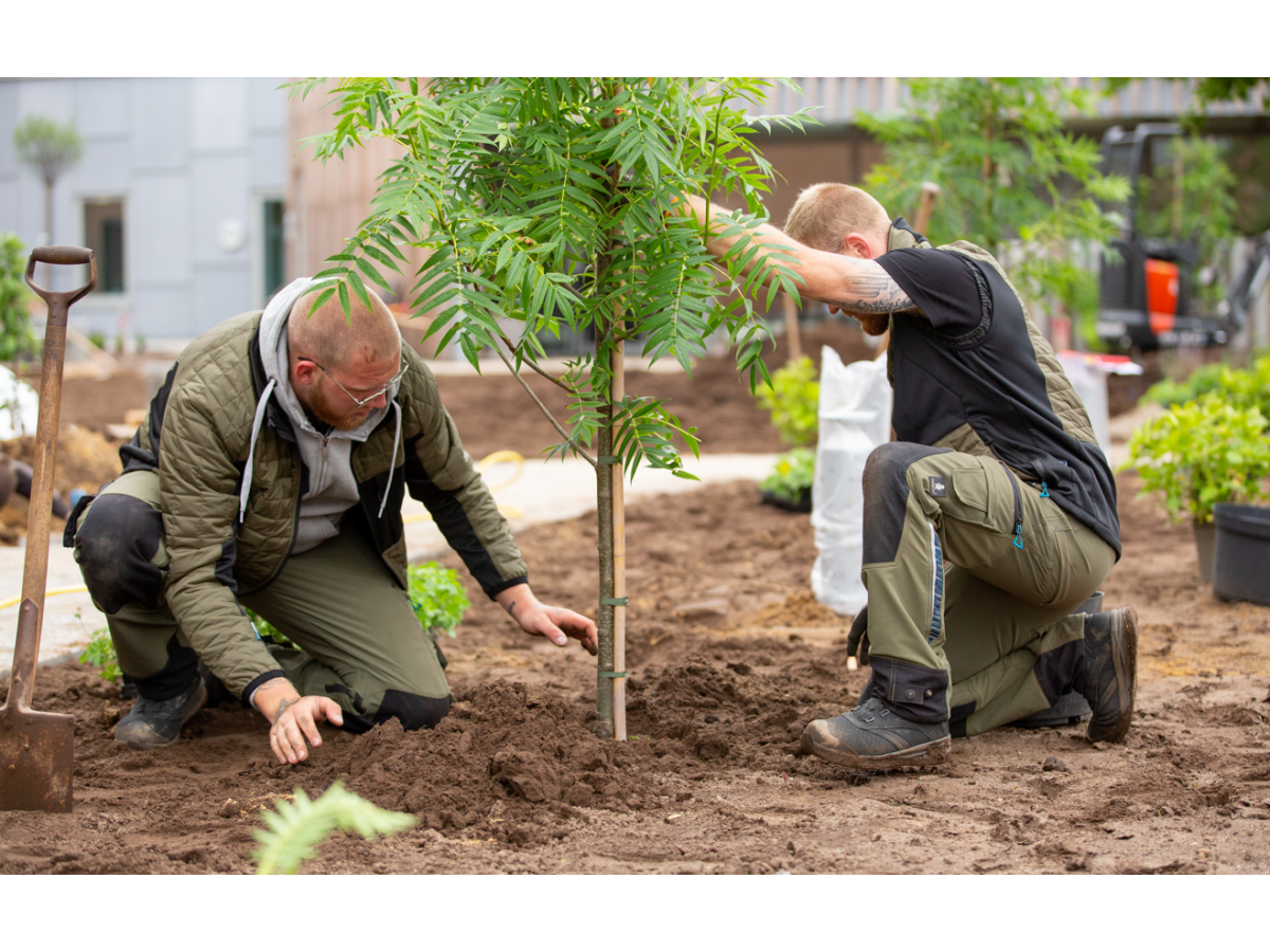 Za varno delo okoli hiše