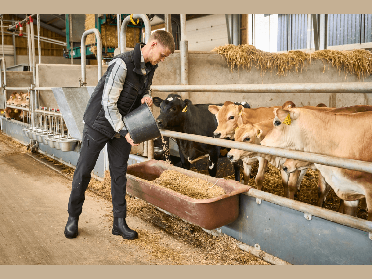 kmetijstvo V naravi ni druge priložnosti, izberi pravo zaščito.