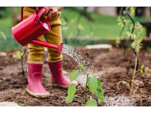 Kako otroka navdušiti nad vrtnarjenjem?