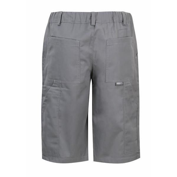 Delovne kratke hlače Monter, sive, zadaj